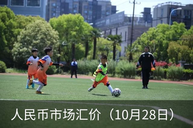 人民币市场汇价（10月28日）