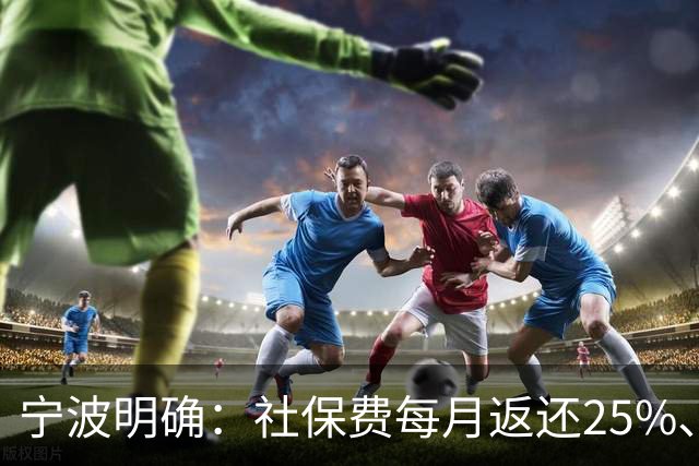 宁波明确：社保费每月返还25%、发放个人！申请入口