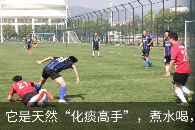 它是天然“化痰高手”，煮水喝，排出深层老痰，痰湿体质不要错过