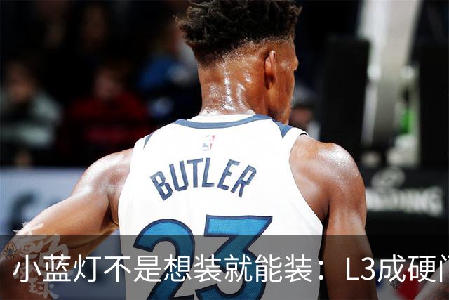 小蓝灯不是想装就能装：L3成硬门槛，L2车辆被明确禁止