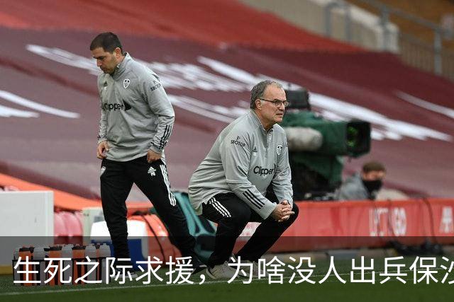 生死之际求援，为啥没人出兵保沙特，中国有实力，但它没少得罪咱
