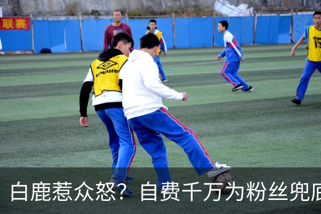 白鹿惹众怒？自费千万为粉丝兜底遭围攻，看清内幕才知她有多清醒