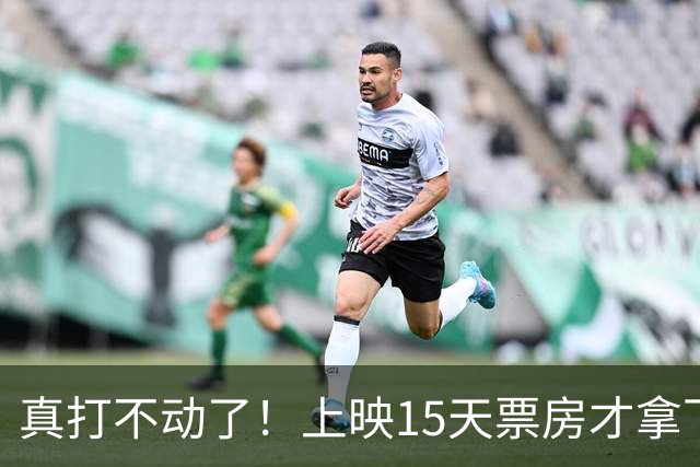 真打不动了！上映15天票房才拿下6000万