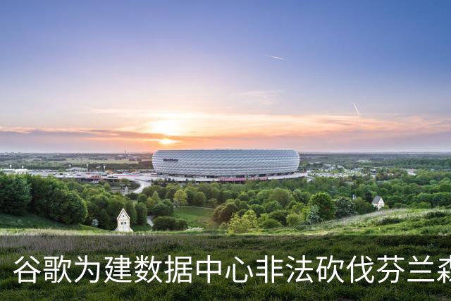 谷歌为建数据中心非法砍伐芬兰森林25万棵树，狼群被迫进村觅食
