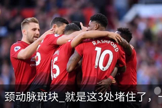 颈动脉斑块 就是这3处堵住了，一旦疏通头晕失眠乏力改善是很快的