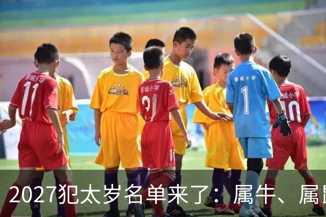 2027犯太岁名单来了：属牛、属鼠、属羊、属狗，谁最凶？如何化解