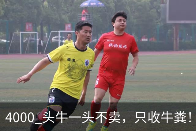 4000 头牛一头不卖，只收牛粪！广西汉靠 “屎” 逆袭，狂赚上亿身家